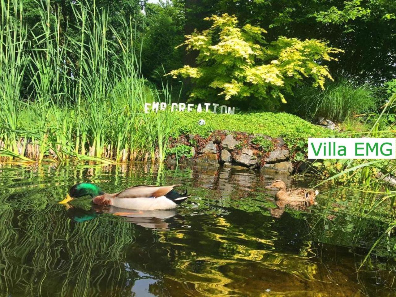 Luxury Family Holidays Villa In Emsdetten Munster מראה חיצוני תמונה