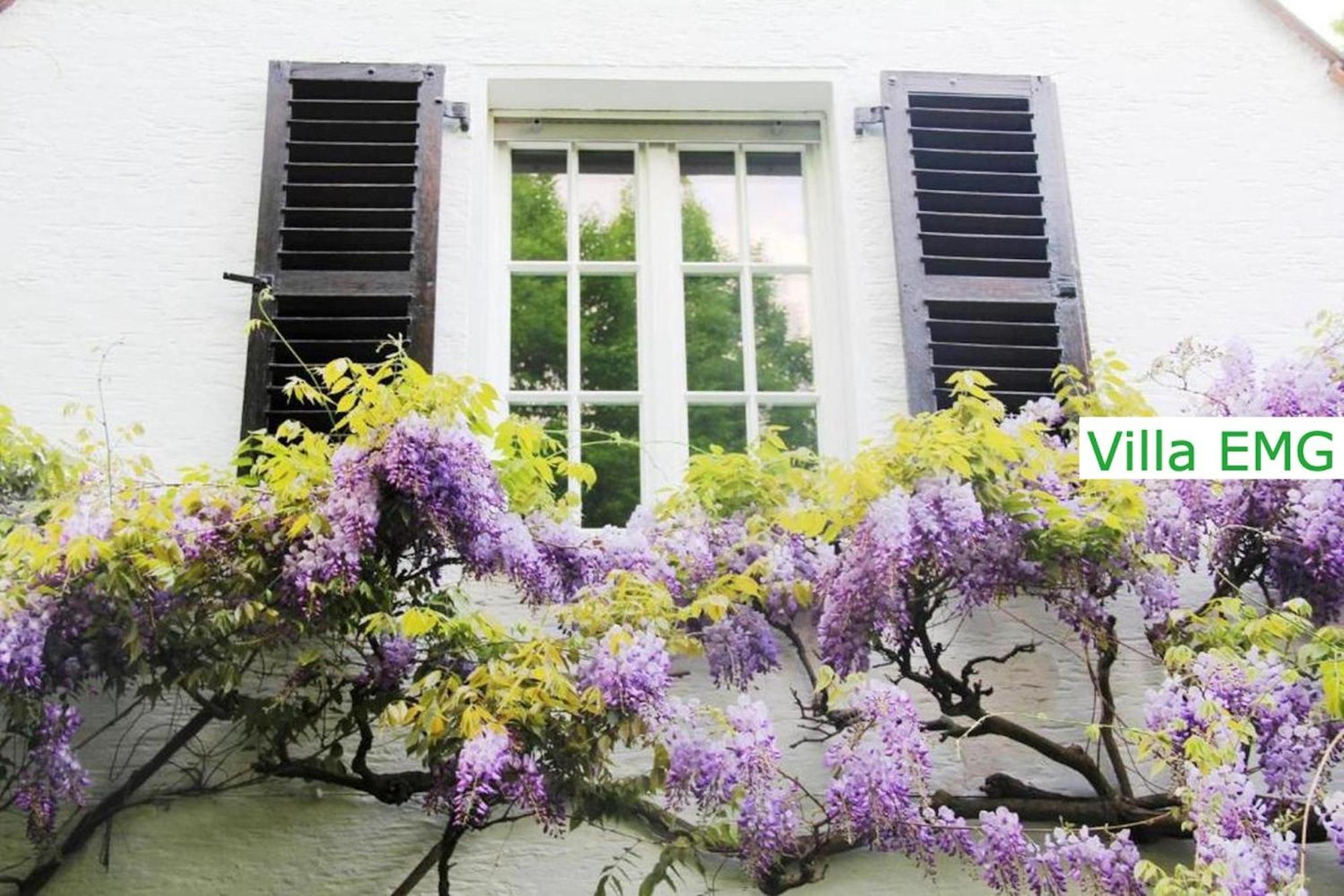 Luxury Family Holidays Villa In Emsdetten Munster מראה חיצוני תמונה